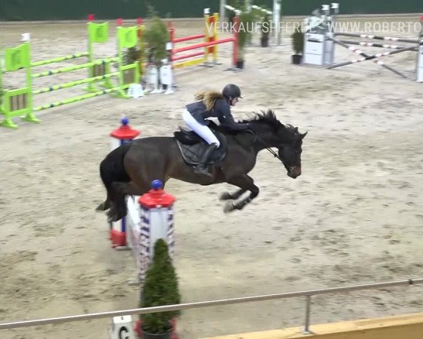 Reitturnier Dielsdorf, Horsepark Masters 2019