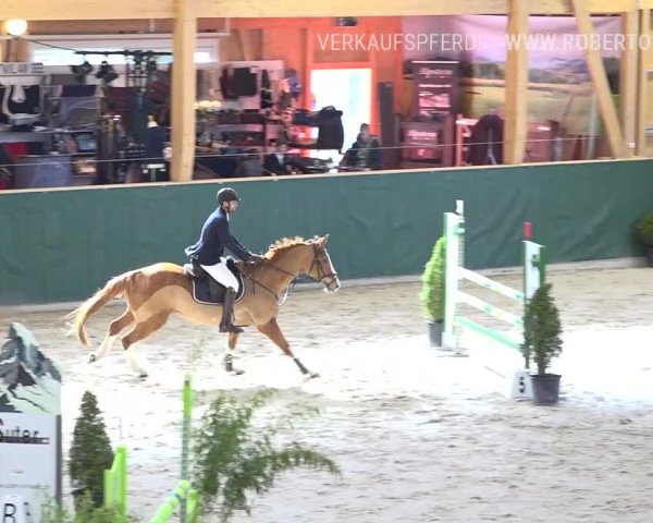 Reitturnier Dielsdorf, Horsepark Masters 2019