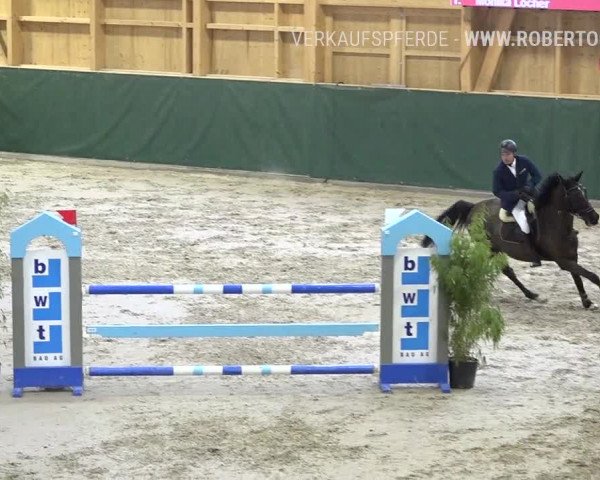 Reitturnier Dielsdorf, Horsepark Masters 2019