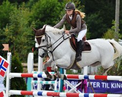 jumper Carnhill Diamond (Irish Sport Horse, 2004, from Moores Clover)