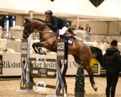 jumper Bay Hayes (Irish Sport Horse, 2000)