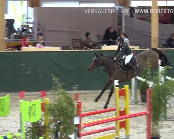 Reitturnier Dielsdorf, Horsepark Masters 2019