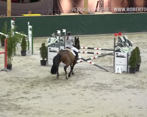Reitturnier Dielsdorf, Horsepark Masters 2019