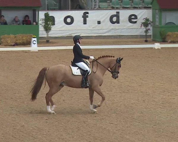 Reitturnier Kreuth/Opf. 2019