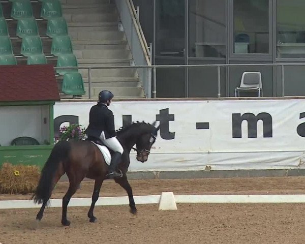 Reitturnier Kreuth/Opf. 2019