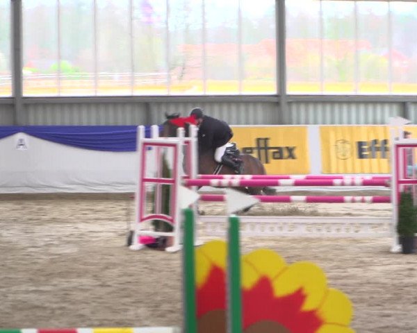 Reitturnier Greven 2019