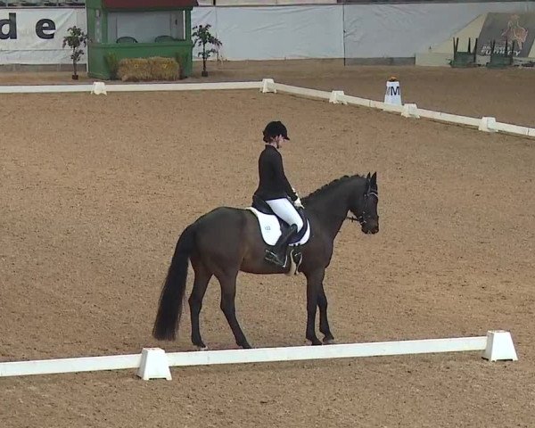 Reitturnier Kreuth/Opf. 2019