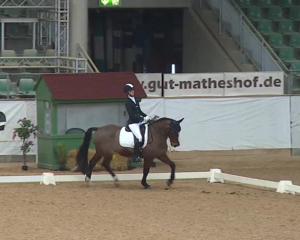 Reitturnier Kreuth/Opf. 2019