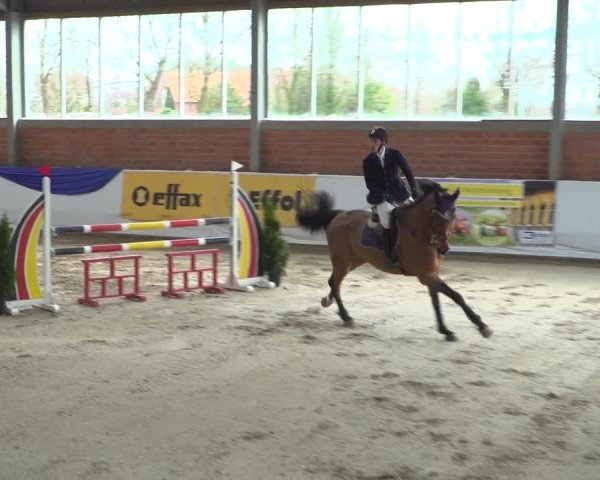 Reitturnier Greven 2019