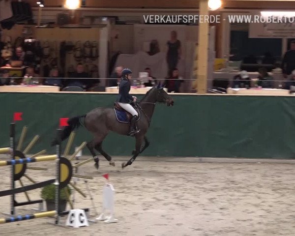 Reitturnier Dielsdorf, Horsepark Masters 2019