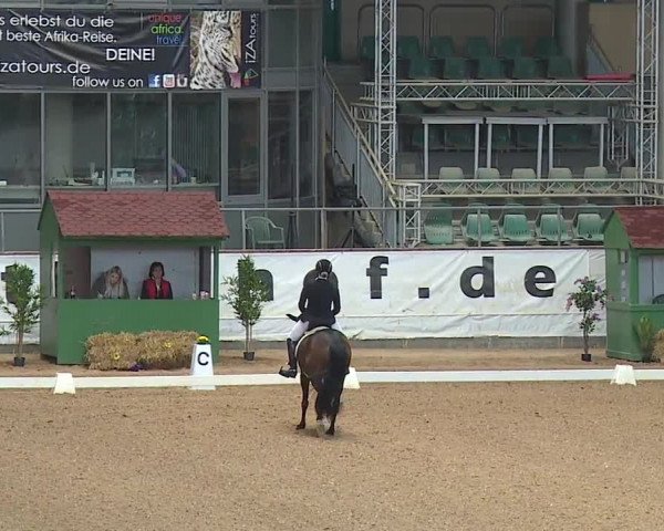 Reitturnier Kreuth/Opf. 2019