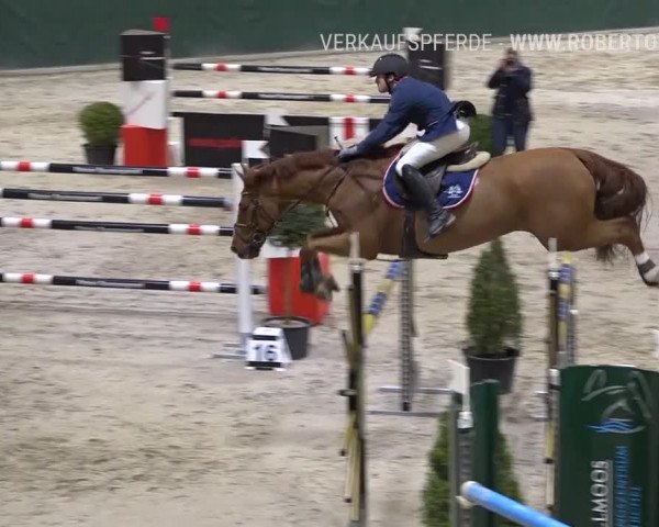 Reitturnier Dielsdorf, Horsepark Masters 2019