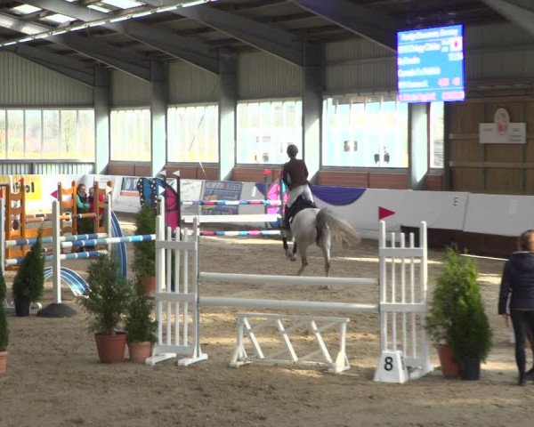 Reitturnier Greven 2019