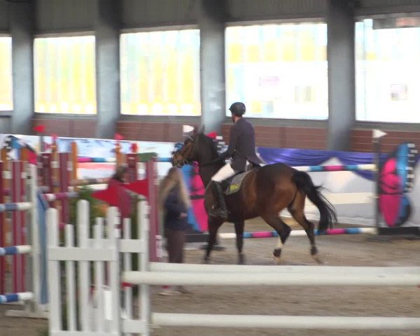 Reitturnier Greven 2019