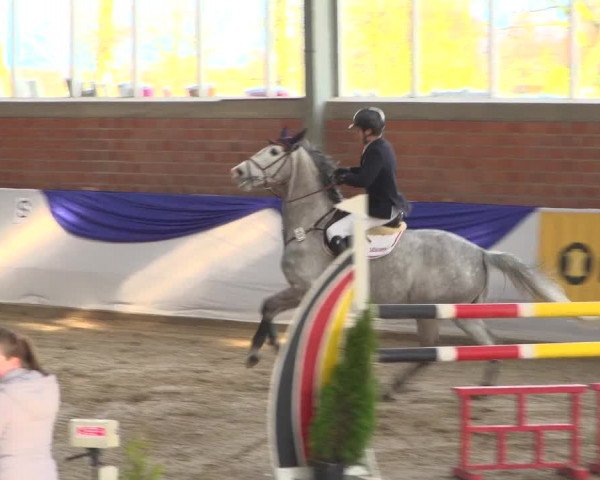 Reitturnier Greven 2019