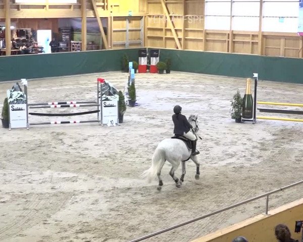 Reitturnier Dielsdorf, Horsepark Masters 2019