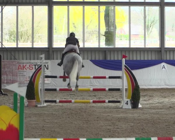 Reitturnier Greven 2019