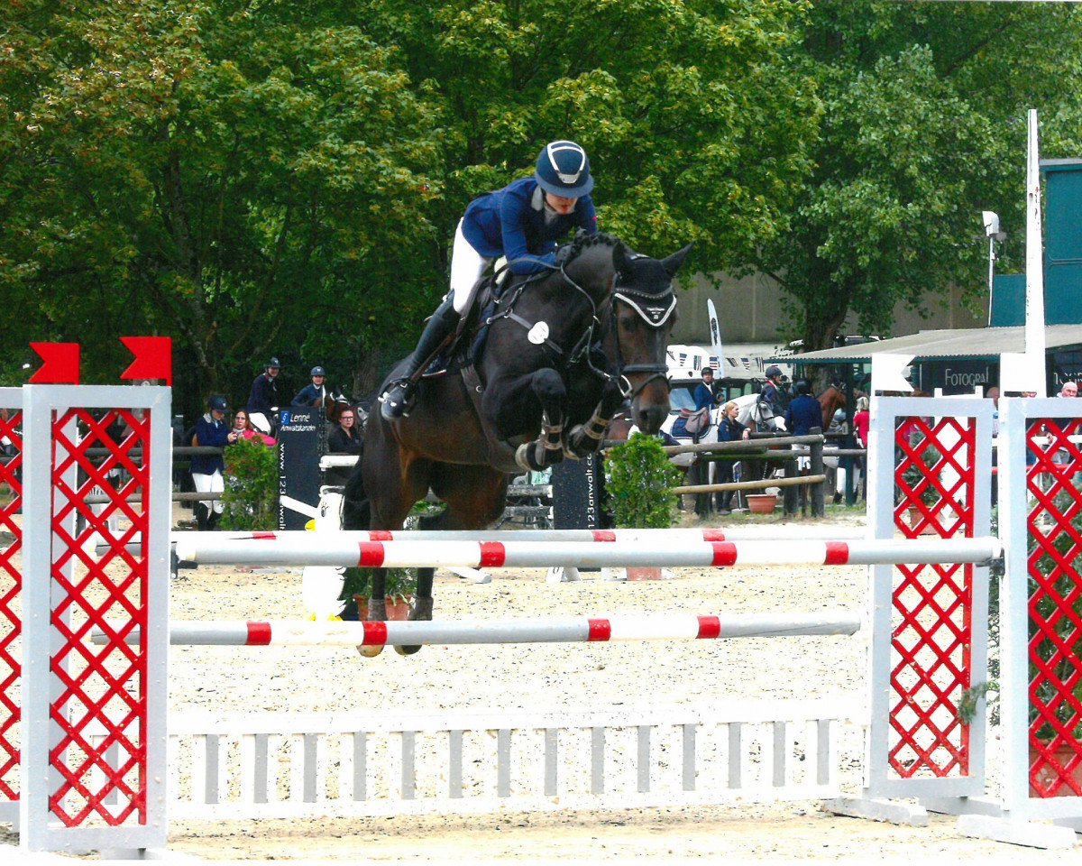 Jumper Capito 18 (Holsteiner, 2010, from Crawford)