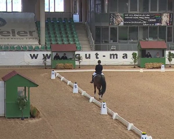 Reitturnier Kreuth/Opf. 2019