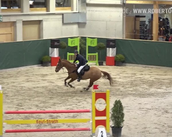 Reitturnier Dielsdorf, Horsepark Masters 2019