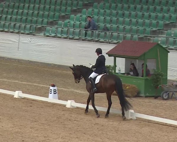 Reitturnier Kreuth/Opf. 2019