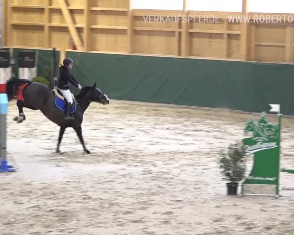 Reitturnier Dielsdorf, Horsepark Masters 2019