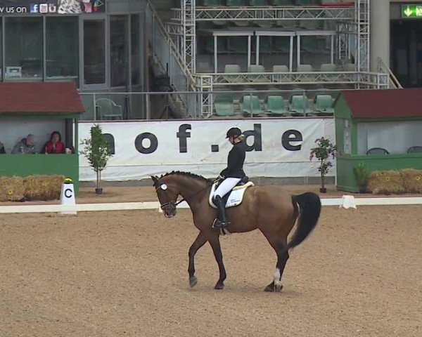 Reitturnier Kreuth/Opf. 2019