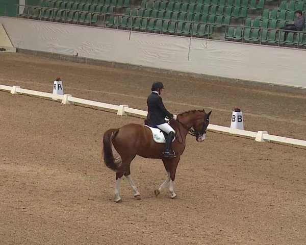 Reitturnier Kreuth/Opf. 2019