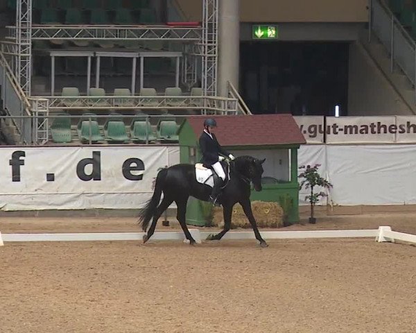 Reitturnier Kreuth/Opf. 2019