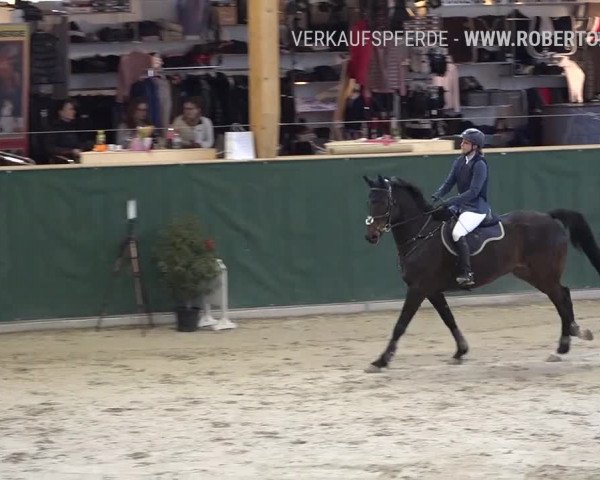 Reitturnier Dielsdorf, Horsepark Masters 2019
