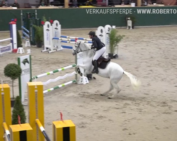 Reitturnier Dielsdorf, Horsepark Masters 2019