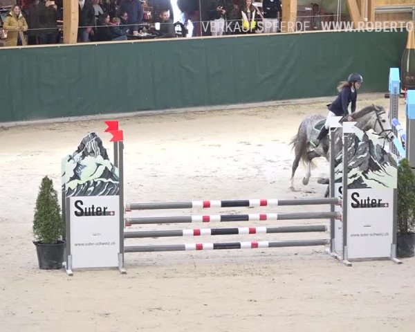 Reitturnier Dielsdorf, Horsepark Masters 2019