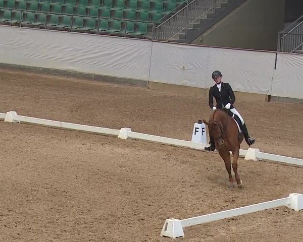 Reitturnier Kreuth/Opf. 2019