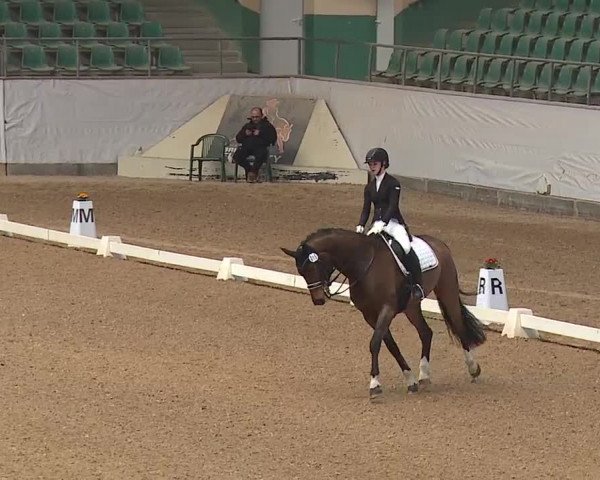 Reitturnier Kreuth/Opf. 2019