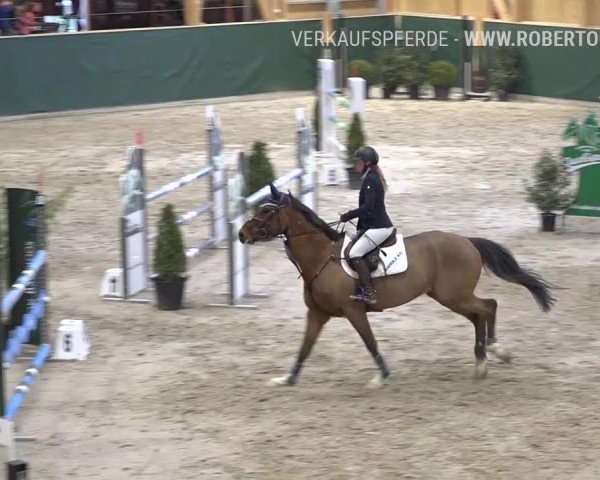 Reitturnier Dielsdorf, Horsepark Masters 2019