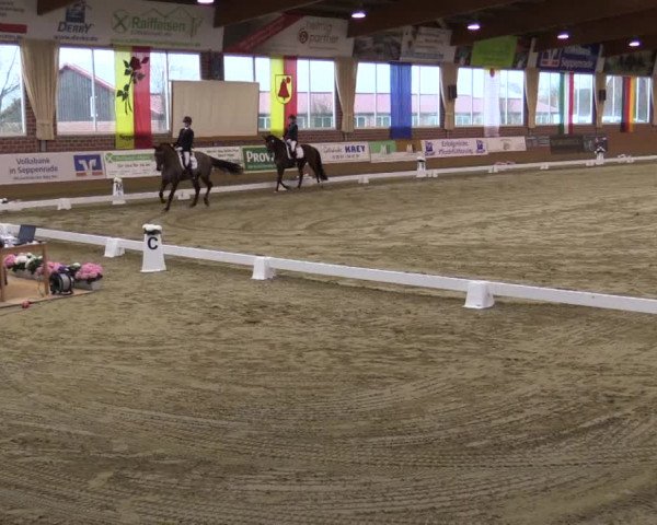 Reitturnier Seppenrade 2019