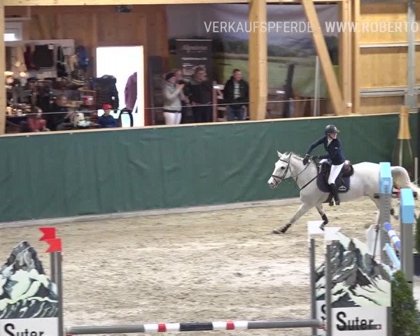 Reitturnier Dielsdorf, Horsepark Masters 2019