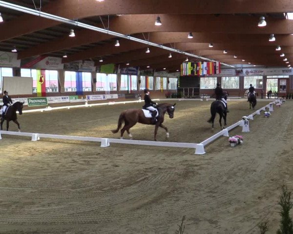 Reitturnier Seppenrade 2019