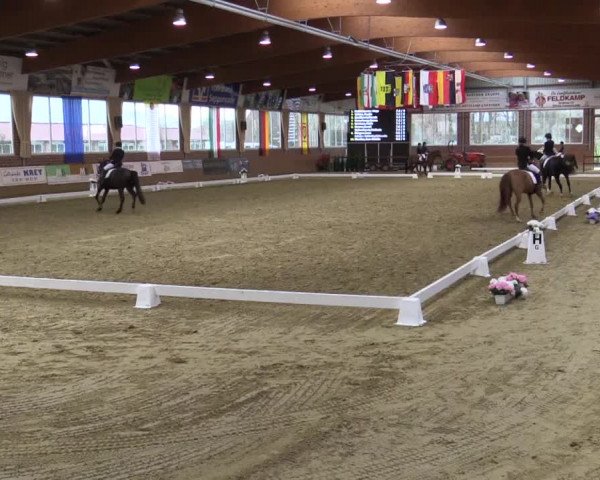 Reitturnier Seppenrade 2019