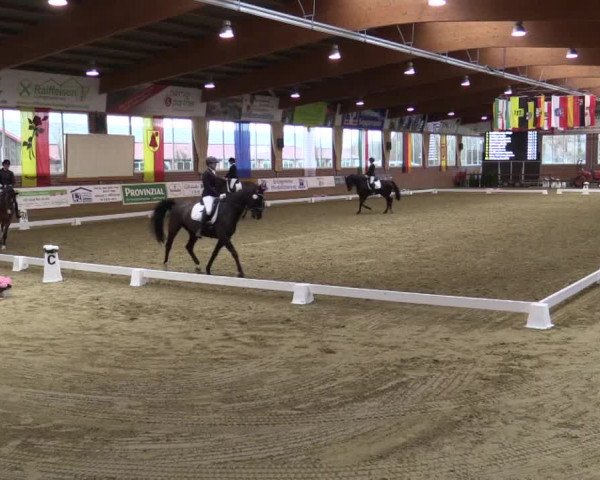 Reitturnier Seppenrade 2019