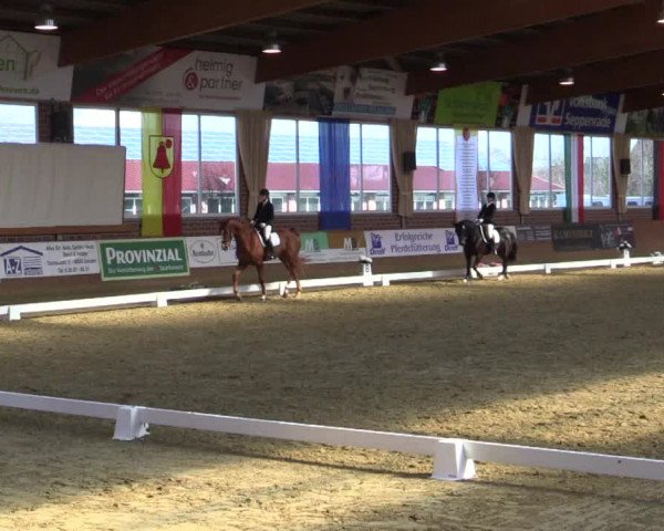 Reitturnier Seppenrade 2019