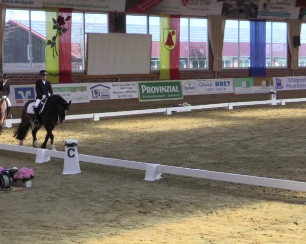 Reitturnier Seppenrade 2019