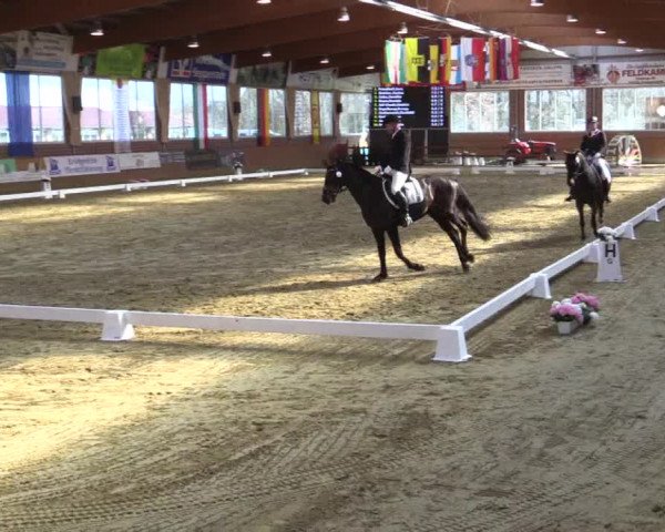 Reitturnier Seppenrade 2019