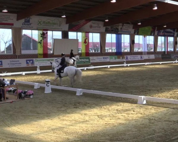 Reitturnier Seppenrade 2019