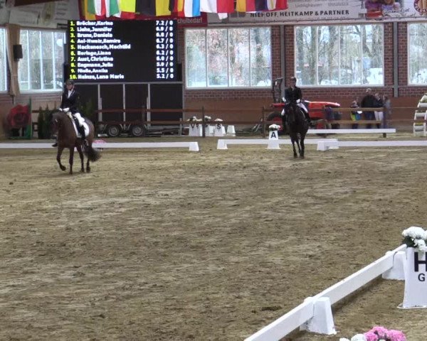 Reitturnier Seppenrade 2019