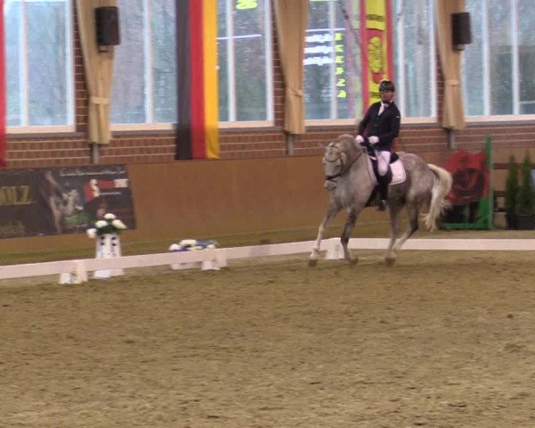 Reitturnier Seppenrade 2019
