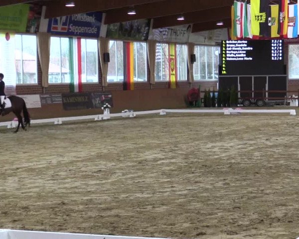 Reitturnier Seppenrade 2019