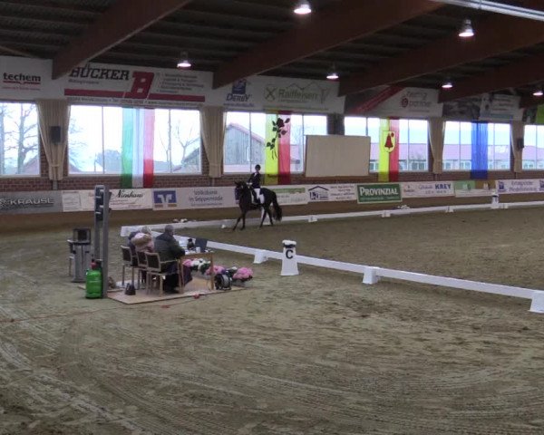Reitturnier Seppenrade 2019