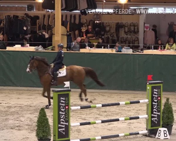 Reitturnier Dielsdorf, Horsepark Masters 2019