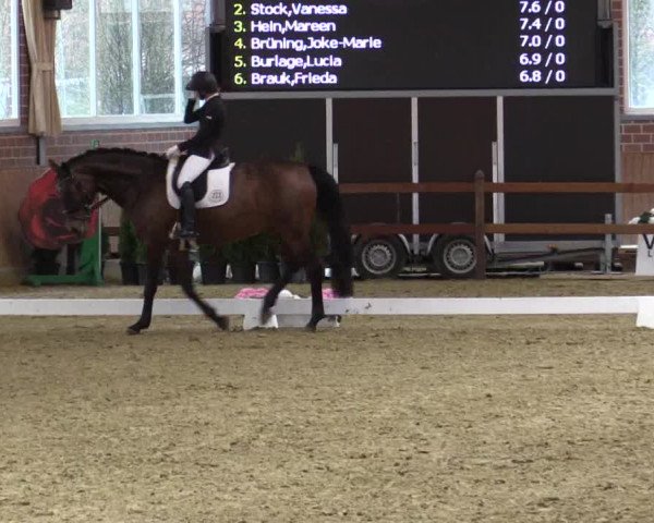 Reitturnier Seppenrade 2019